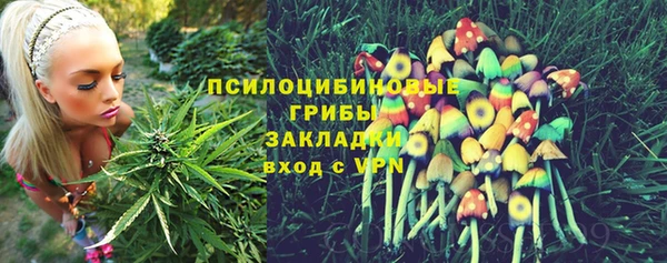 2c-b Ростов