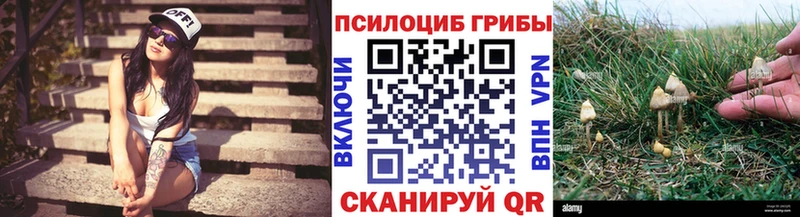 Псилоцибиновые грибы прущие грибы  продажа наркотиков  Невинномысск 